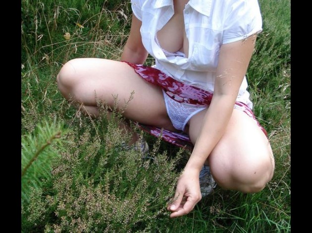 mi-dans-les-bois-f.jpg