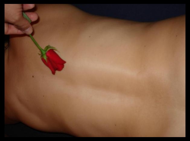 une-rose-sur-ta-peau-b.jpg