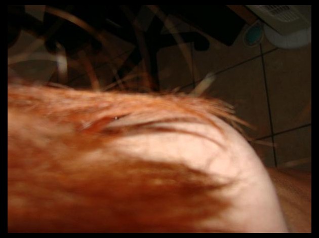 dsc03368-_desktop-resolution_.jpg