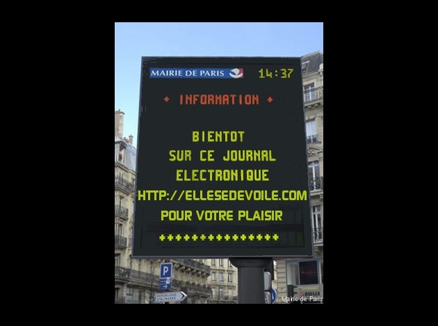 PANNEAU-ELLESEDEVOILEPARIS.jpg