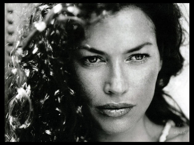 Carre-Otis-NB--02-.jpg