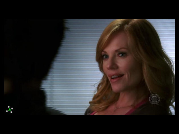 Marg-Helgenberger---CSI--65-.jpg