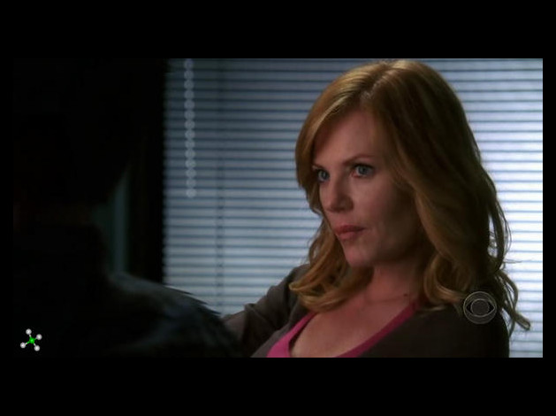 Marg-Helgenberger---CSI--68-.jpg