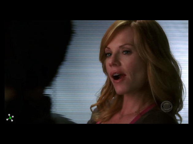 Marg-Helgenberger---CSI--70-.jpg