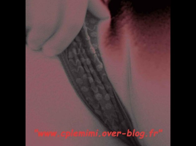 blog44.jpg