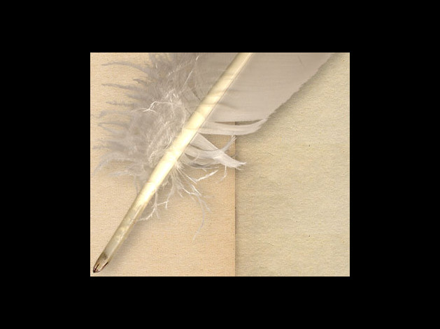 plume37.jpg