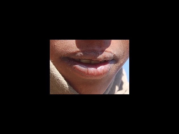 2093d17a_b.jpg