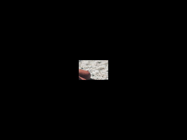 seins-3.jpg