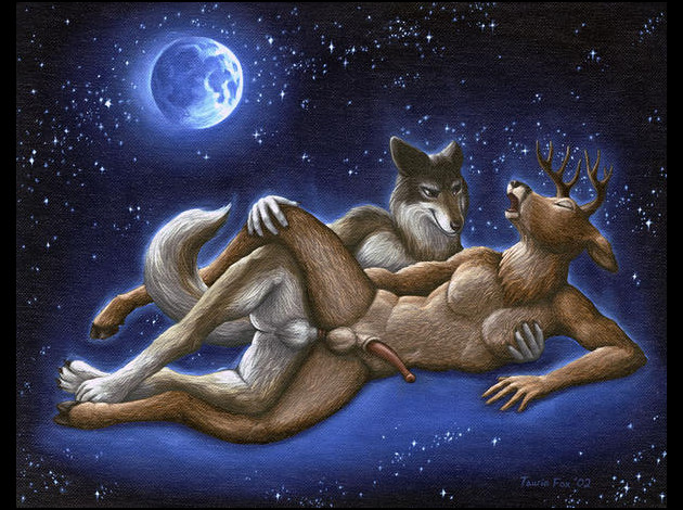 furry9.jpg