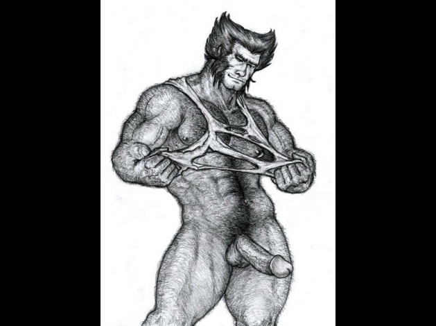 Wolverine.jpg