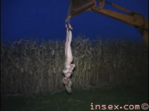 insex03.jpg