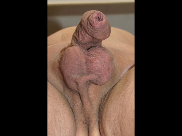papy dort