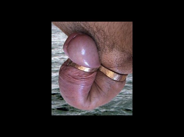 Cock Snake