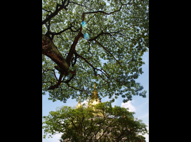 Monastere-de-Kong-Meng--Entre-les-arbres-bis.jpg