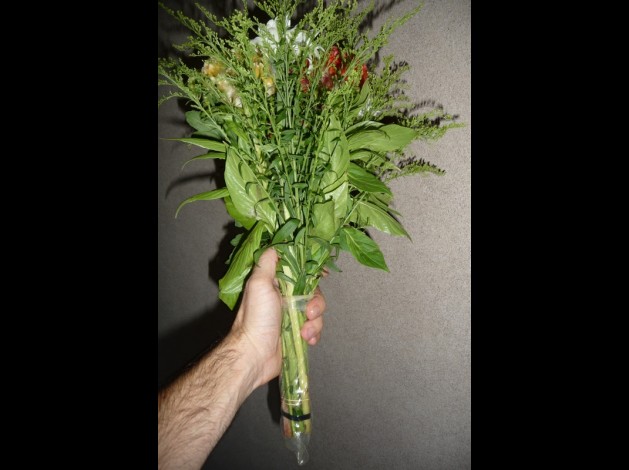 pongo_bouquet04.jpg
