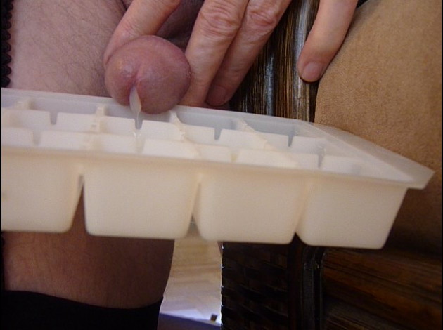 P1000348-8-.jpg
