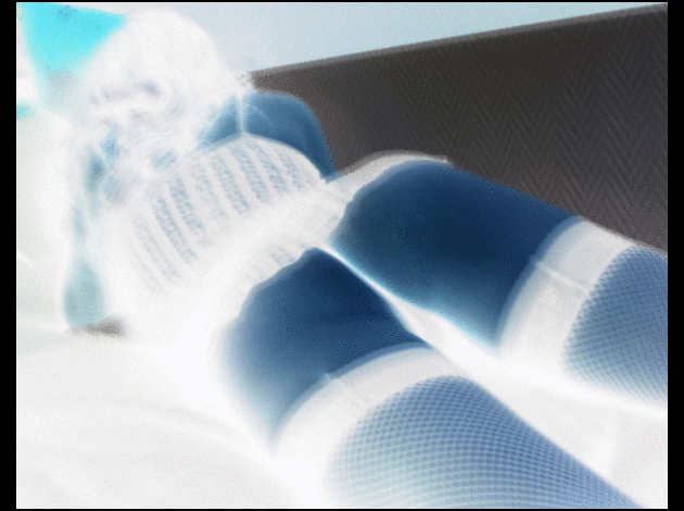 IMGP16091n.gif