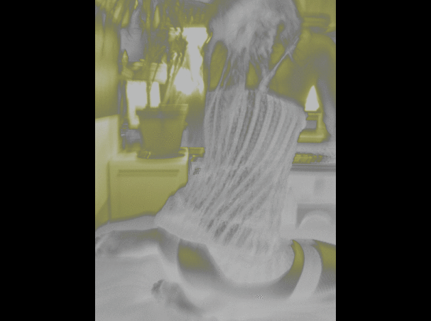 IMGP1673.gif