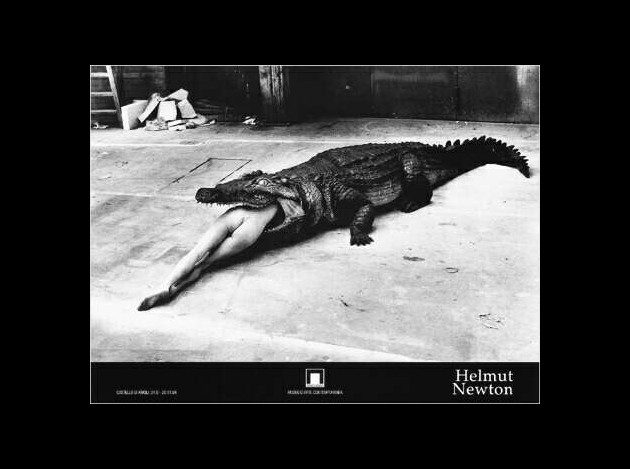 Helmut-Newton---Crocodile-And-Ballerina-2402893.jpg