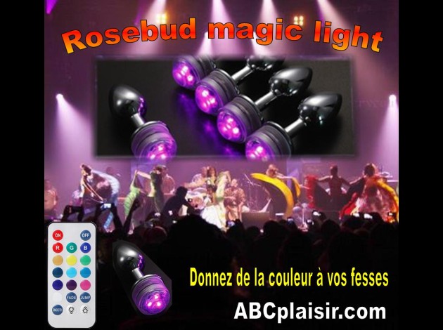 Rosebud magic light (2)