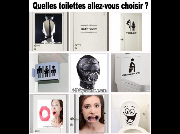 Quelles toilettes choisir