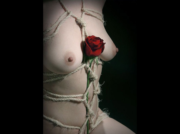 bondage+rose