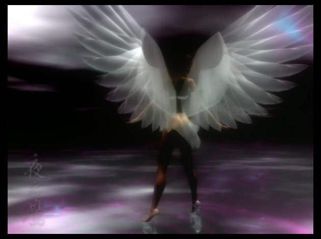 angel.jpg
