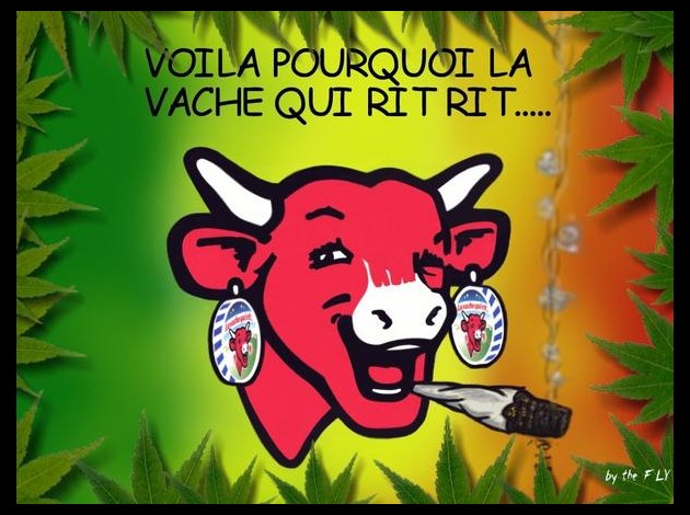 vache-qui-fume.jpg