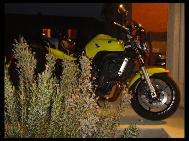 dsc00264.jpg