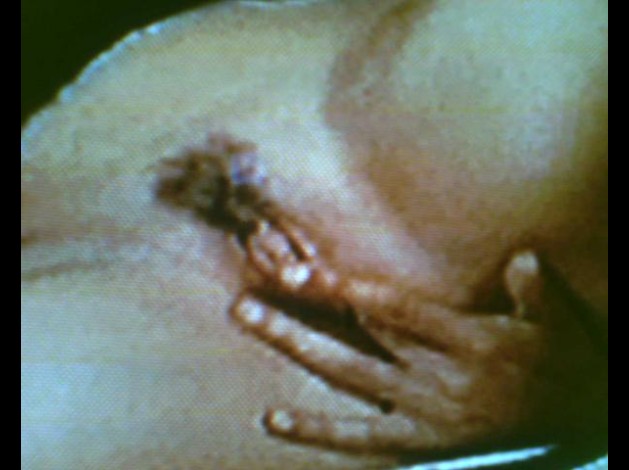 120306-0041.jpg
