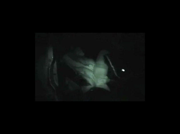 vlcsnap-2010-08-18-03h07m50s171
