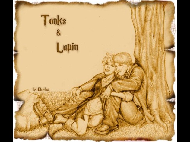 Tonks_and_Lupin_by_elu_lux.jpg