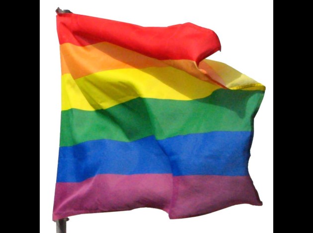 big zoomGB112-drapeau-gay