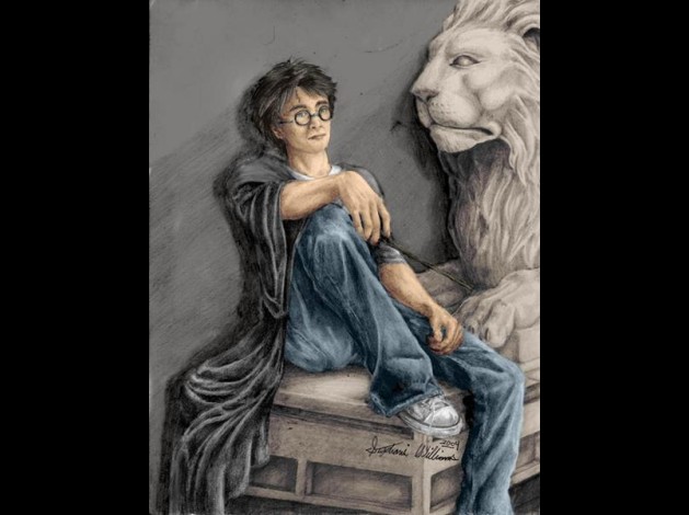 Harry_Potter_by_Dinaitius.jpg