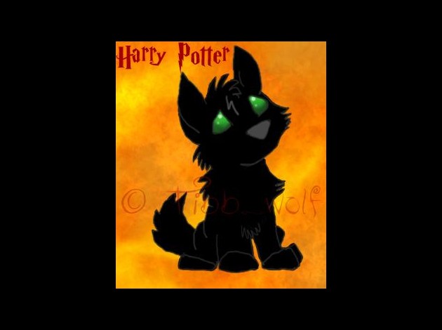 Harry_Potter_wolf_by_Tibb_Wolf.jpg