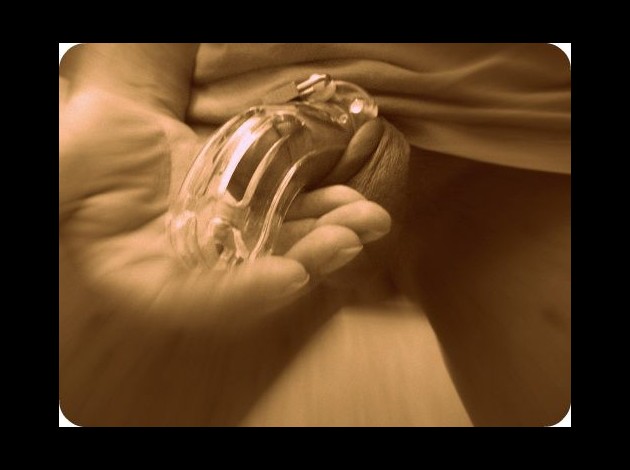 chastecarpette512