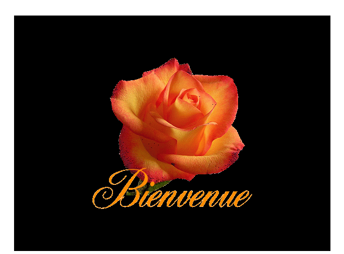 BIENv5.gif