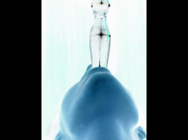 porn-art-008--2-.jpg