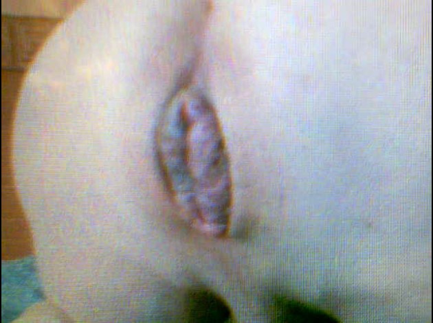2010-03-05-35785