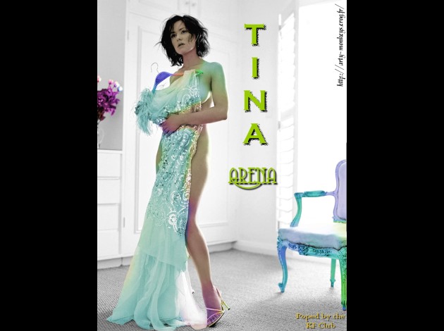 Tina-Arena-Dress01a.jpg