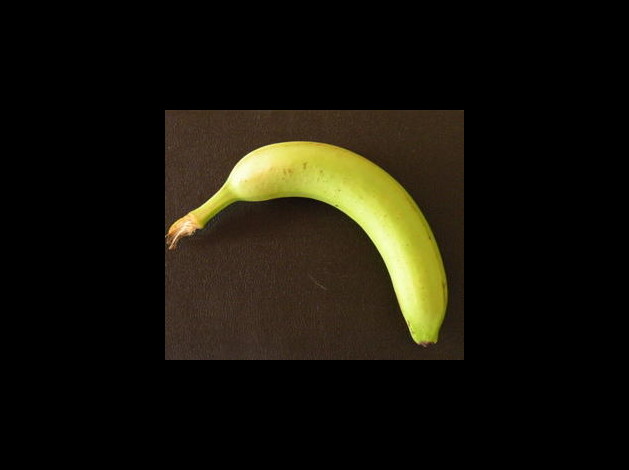 Son-fruit-pr-f-r-N1641_-.jpg