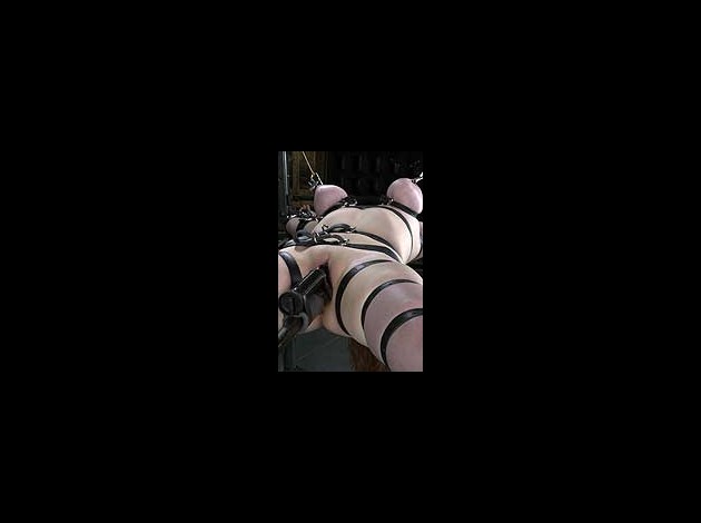 piglet_16.jpg