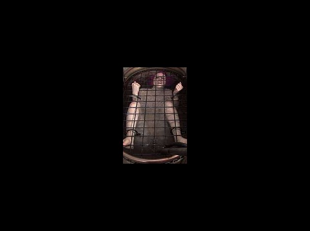 cherrytorn7_06.jpg