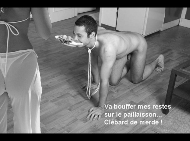 ch246-1-.jpg