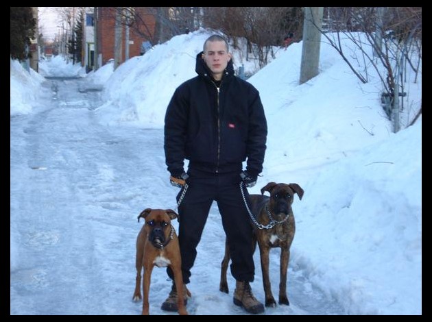 avec ses chiens, dans neige