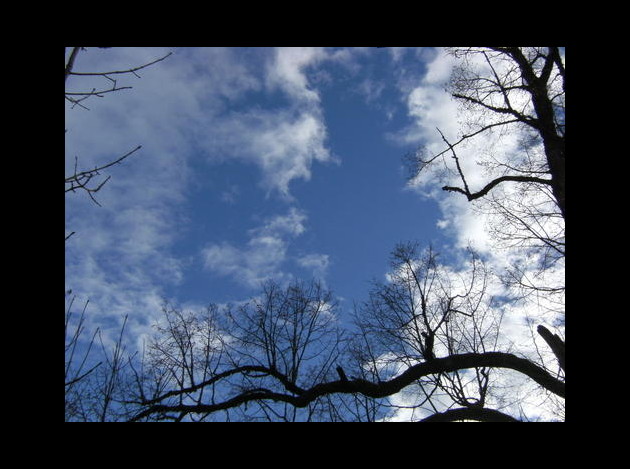 Nuage.jpg
