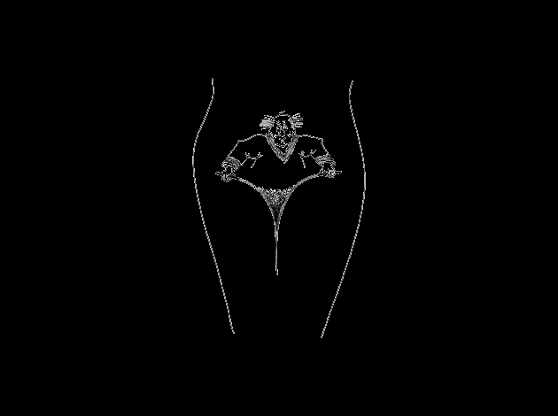 Elargissement.gif