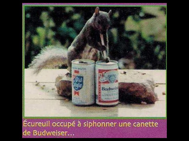 190508-funny3.jpg