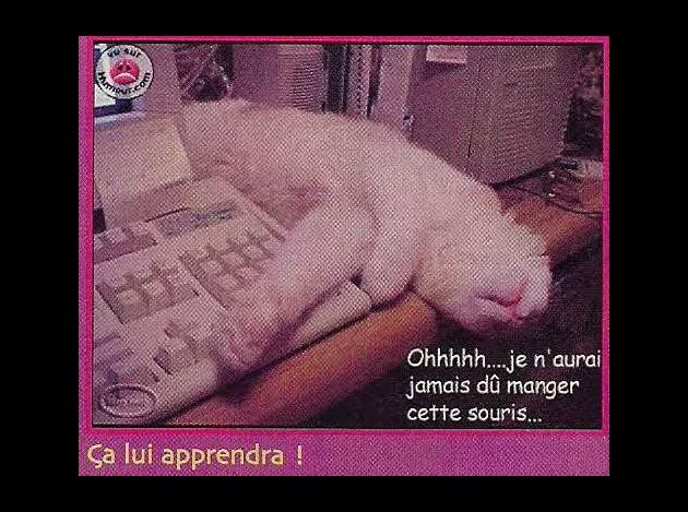 190508-funny4.jpg