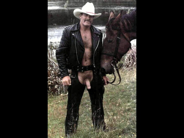 cowboy-20gal3-3a.jpg